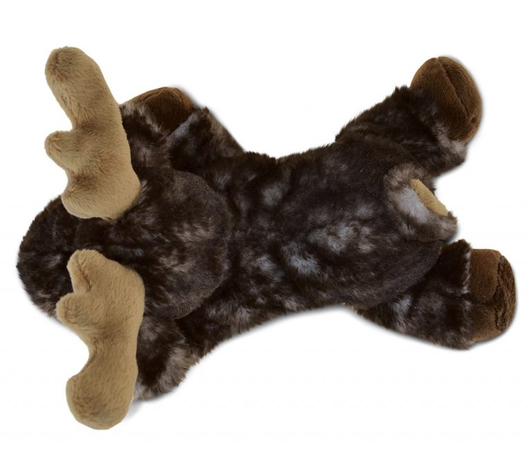 dollibu moose