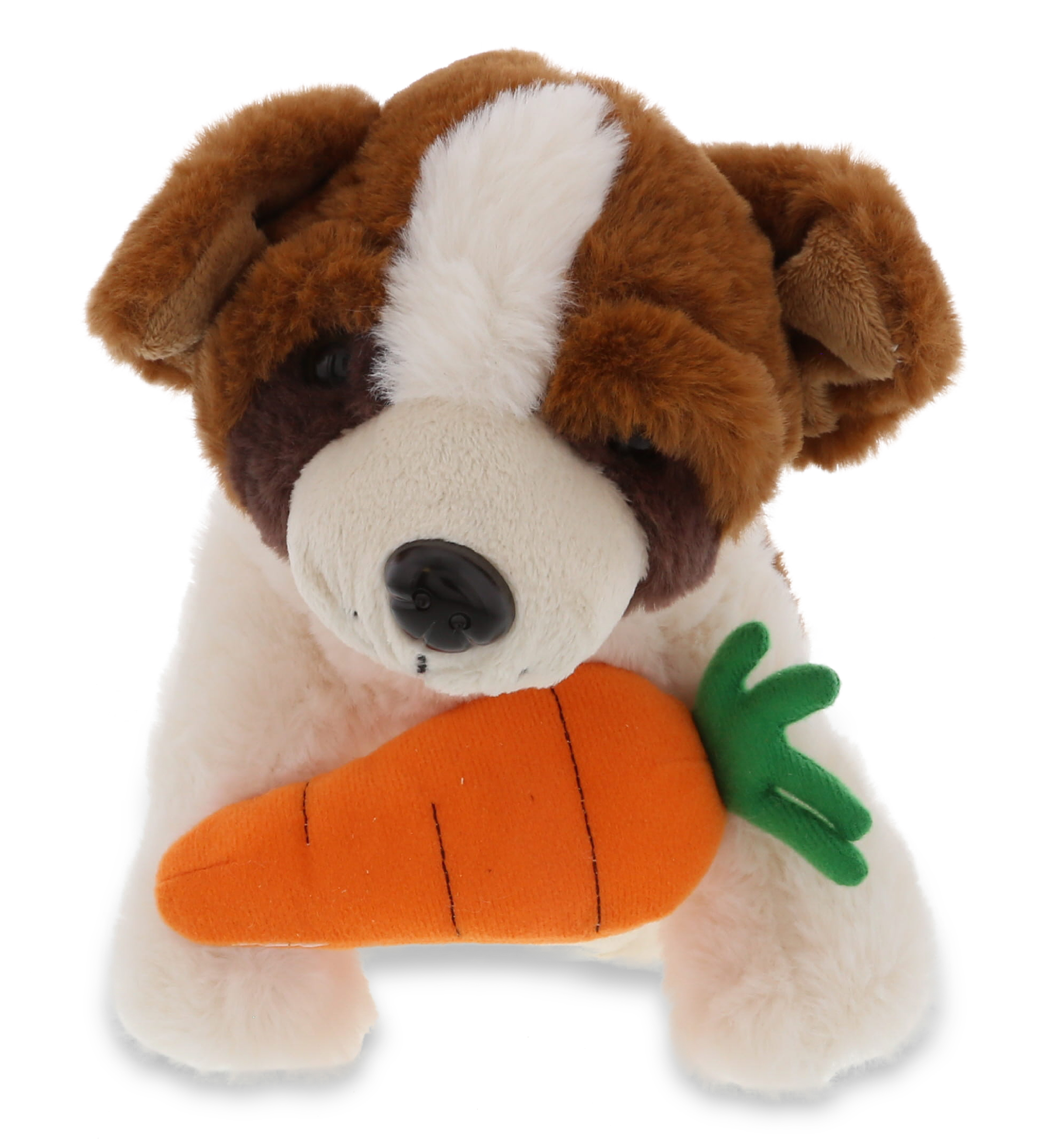 DolliBu Happy Easter Super Soft Plush St. Bernard Dog with Carrot – Cute Stuffed  Animals with Carrot Plush Toy, Perfect Easter Gift with Name  Personalization, Spring Easter Plush Animal – 8″ Inches - DolliBu