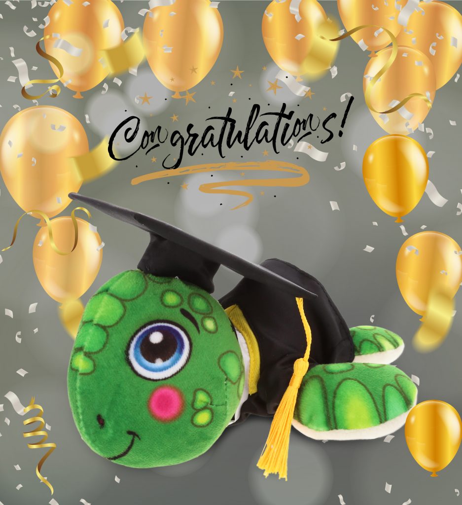 graduation turtle stuffed animal