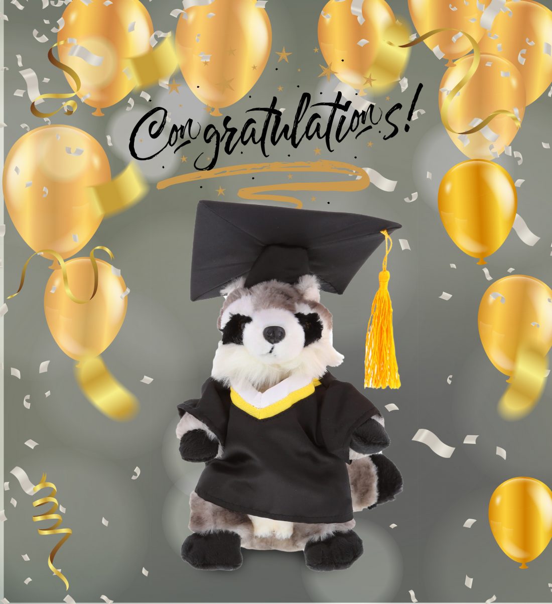 DolliBu Raccoon Graduation Plush Toy – Graduation Stuffed Animal Dress ...