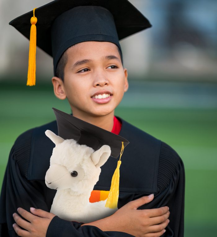 llama graduation plush