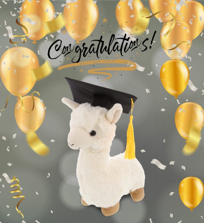 llama graduation plush