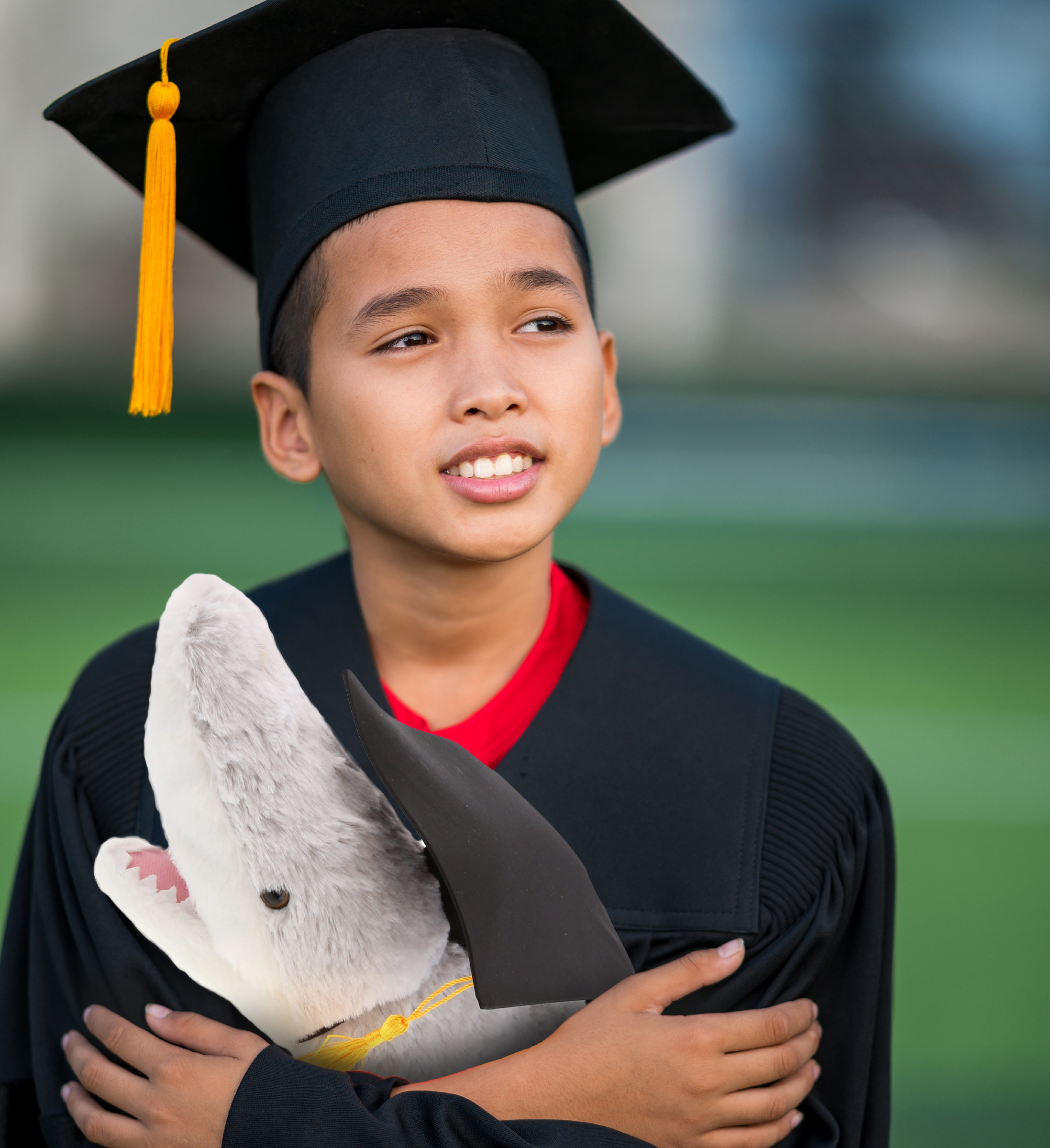 plush toy elephant shark fish photo album 6'' 100pcs Graduation anniversary gift 