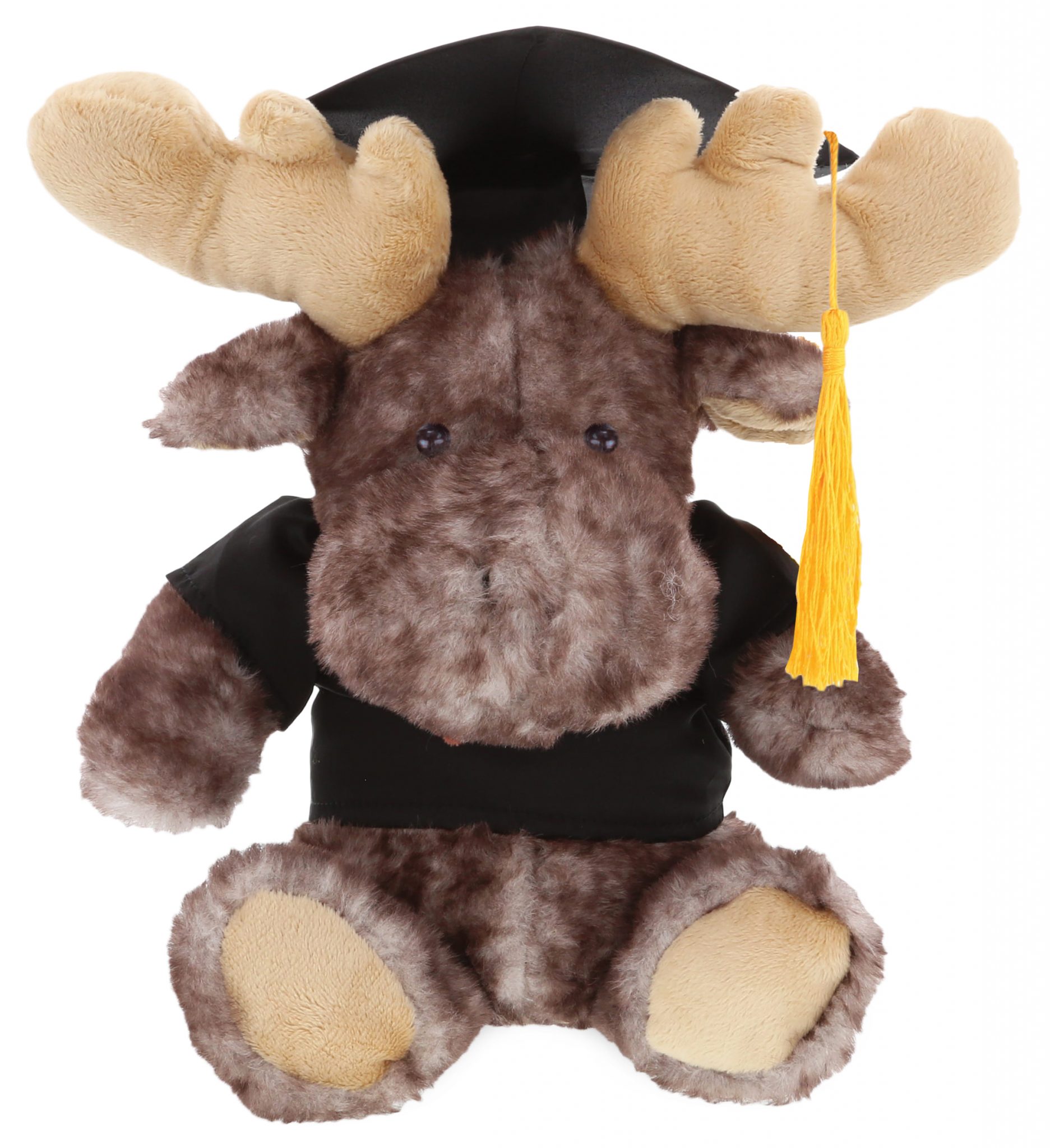 graduation stuffed animal