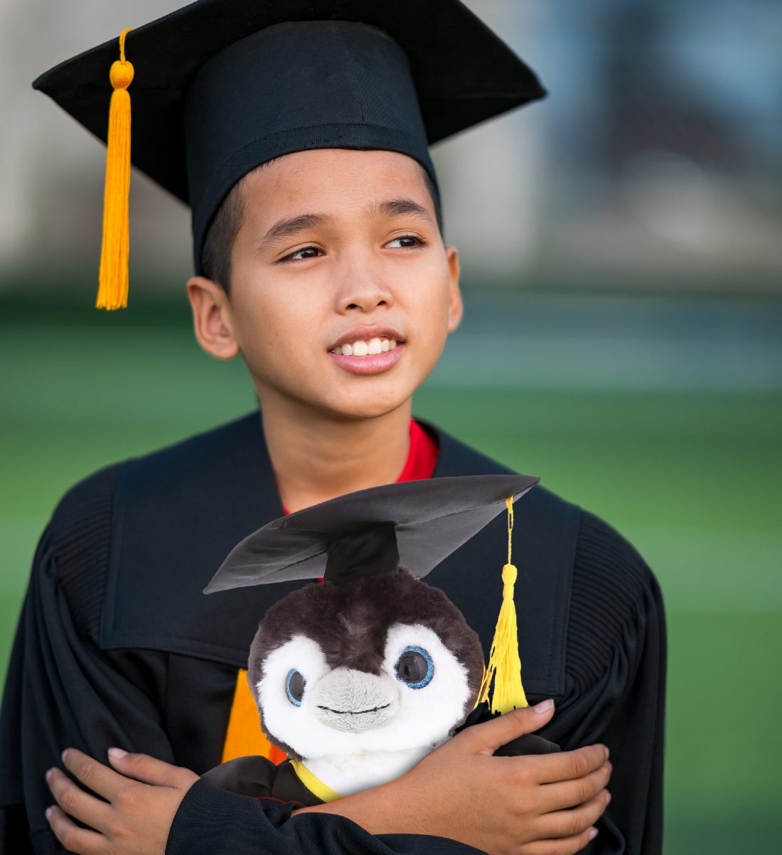 penguin graduation plush